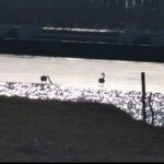 WhatsApp Image 2024-01-10 at 15.35.08 (1)