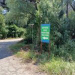 WhatsApp Image 2025-07-16 at 13.59.29