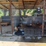 WhatsApp Image 2025-07-16 at 13.59.57