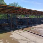 WhatsApp Image 2025-07-16 at 14.00.22