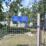 WhatsApp Image 2025-07-16 at 14.02.07